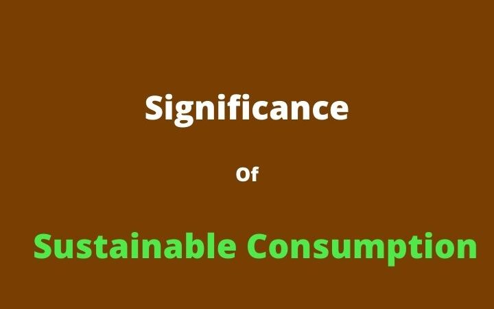 All You Need To Know About Sustainable Consumption