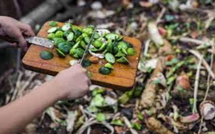 Step-by-Step Beginner’s Guide to Composting at Home