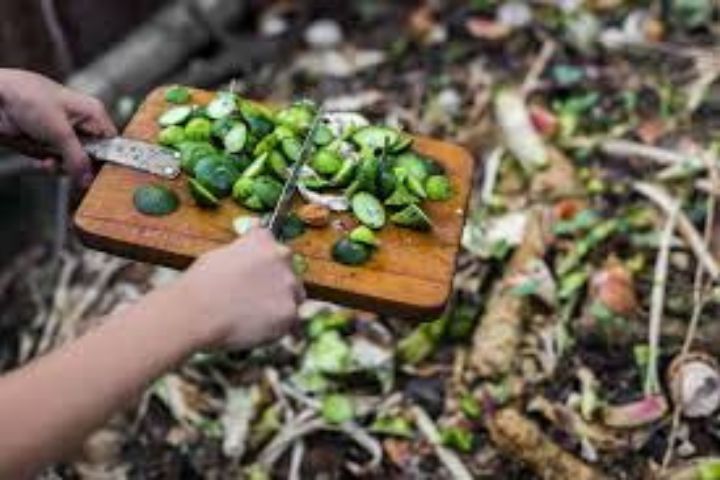 Step-by-Step Beginner’s Guide to Composting at Home