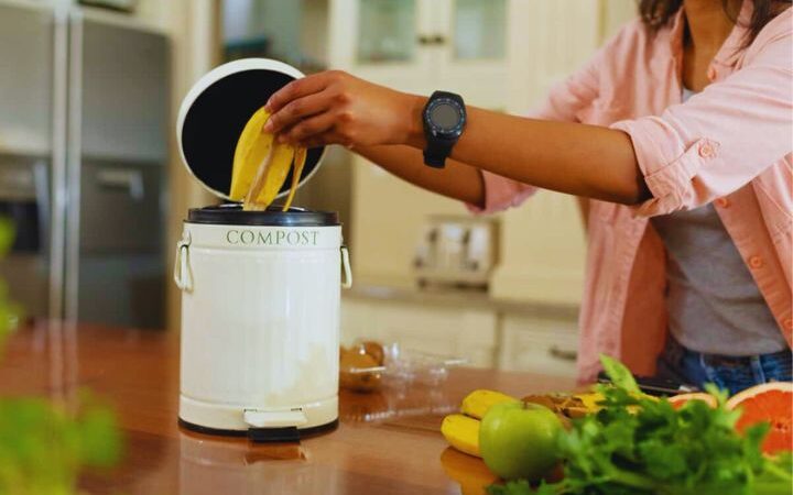 Best Compost Bins for Small Urban Apartments