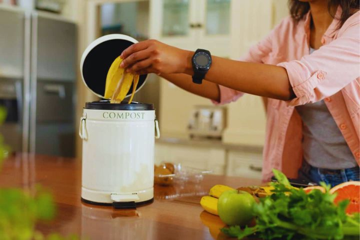 Best Compost Bins for Small Urban Apartments